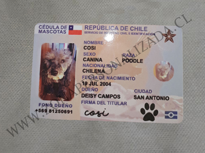 Carnet De Mascota